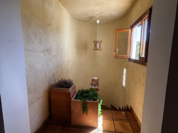 Casa o chalet independiente en Camino del Paellero, 32, Pinar de Advocat-Cometa, Pinar de Advocat-Cometa - Foto 13