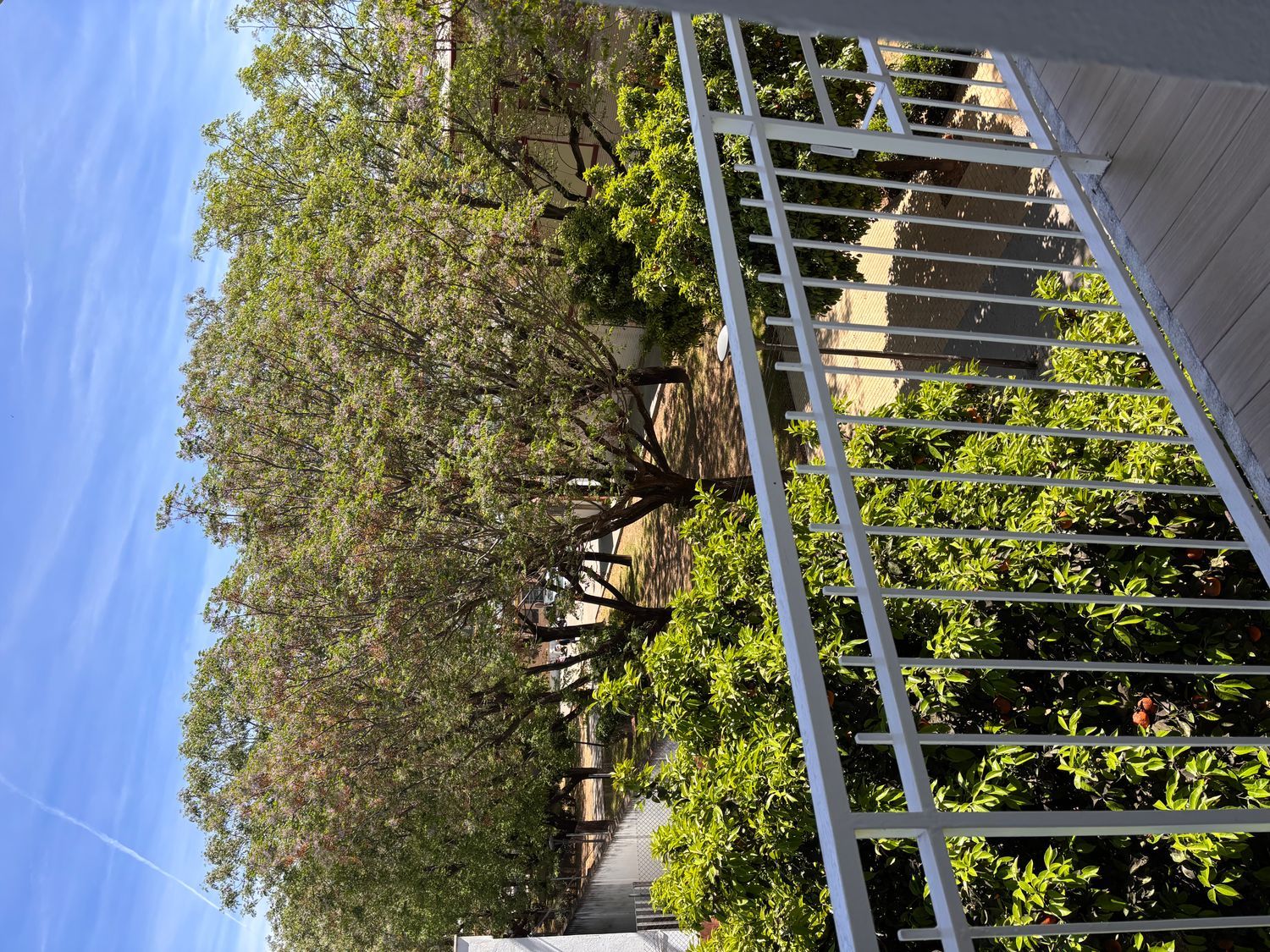 Piso en Lopez de Gomara, 3 - Foto 1