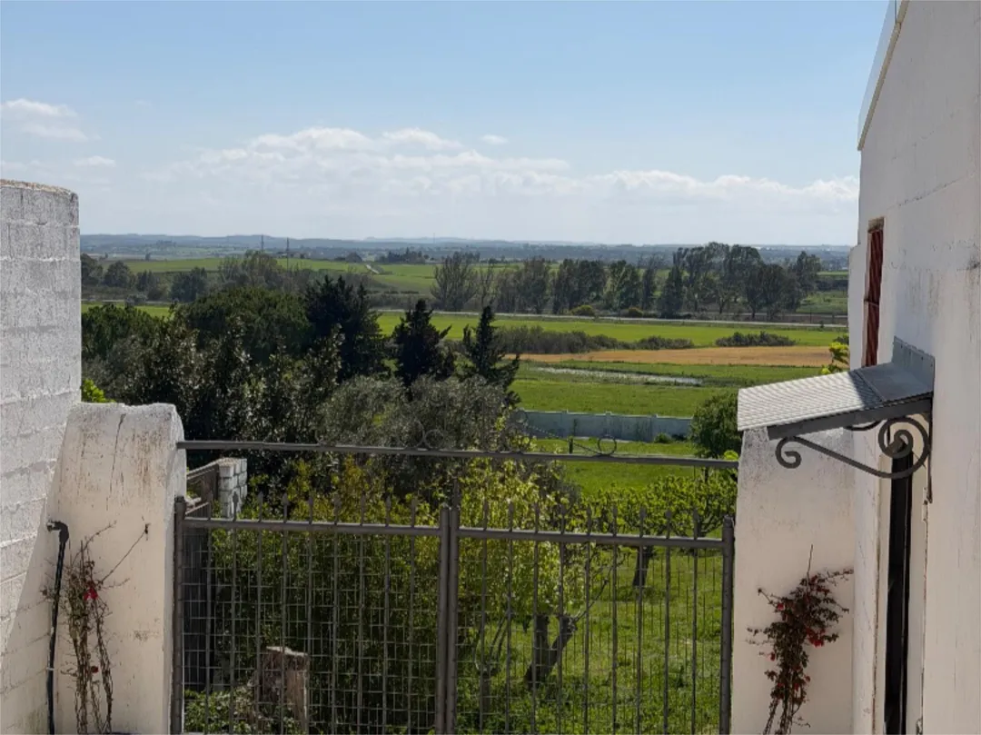 Chalet en  Diseminado Pago Victoria 328 - Foto 8