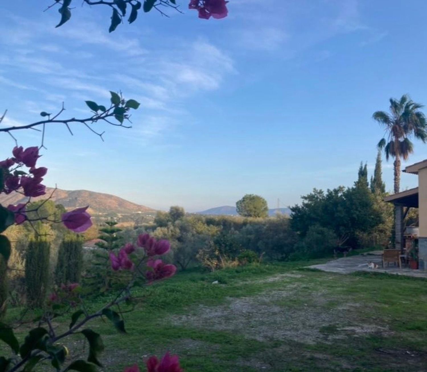 Finca rústica en Camino Navarrete, 19 - Foto 9
