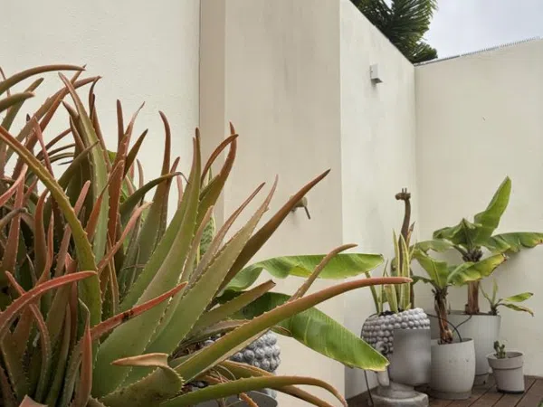Casa o chalet independiente en Calle Sabina, 2, Corralejo, Corralejo - Foto 9