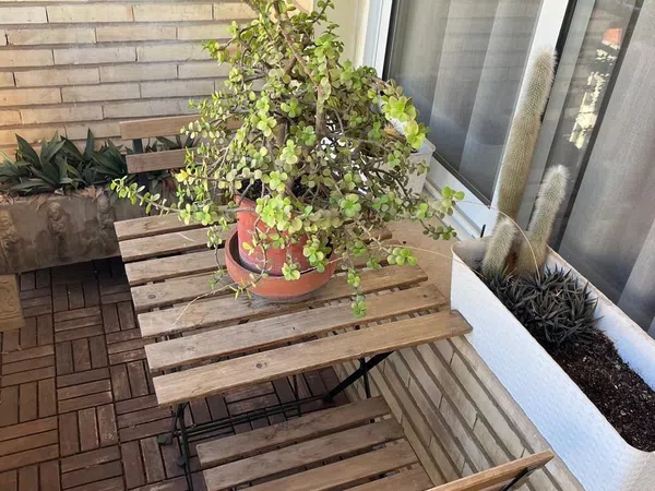 Piso en El Botànic, El Botànic - Foto 12
