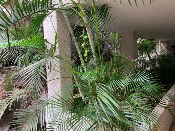 Piso en Avenida Marítima, 25 - Foto 40