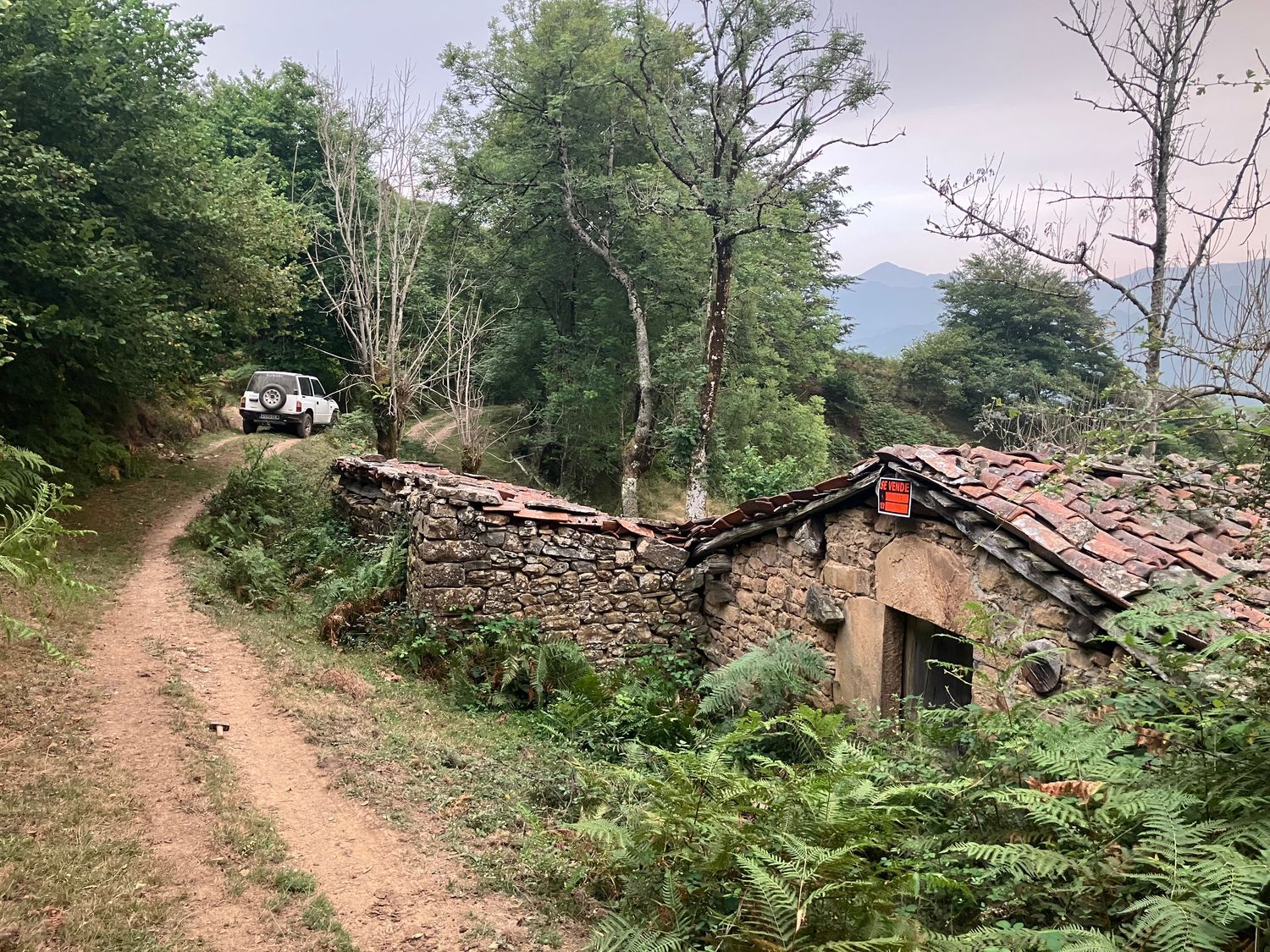 Finca rústica en Cebollin. Caso (asturias) s/n - Foto 4