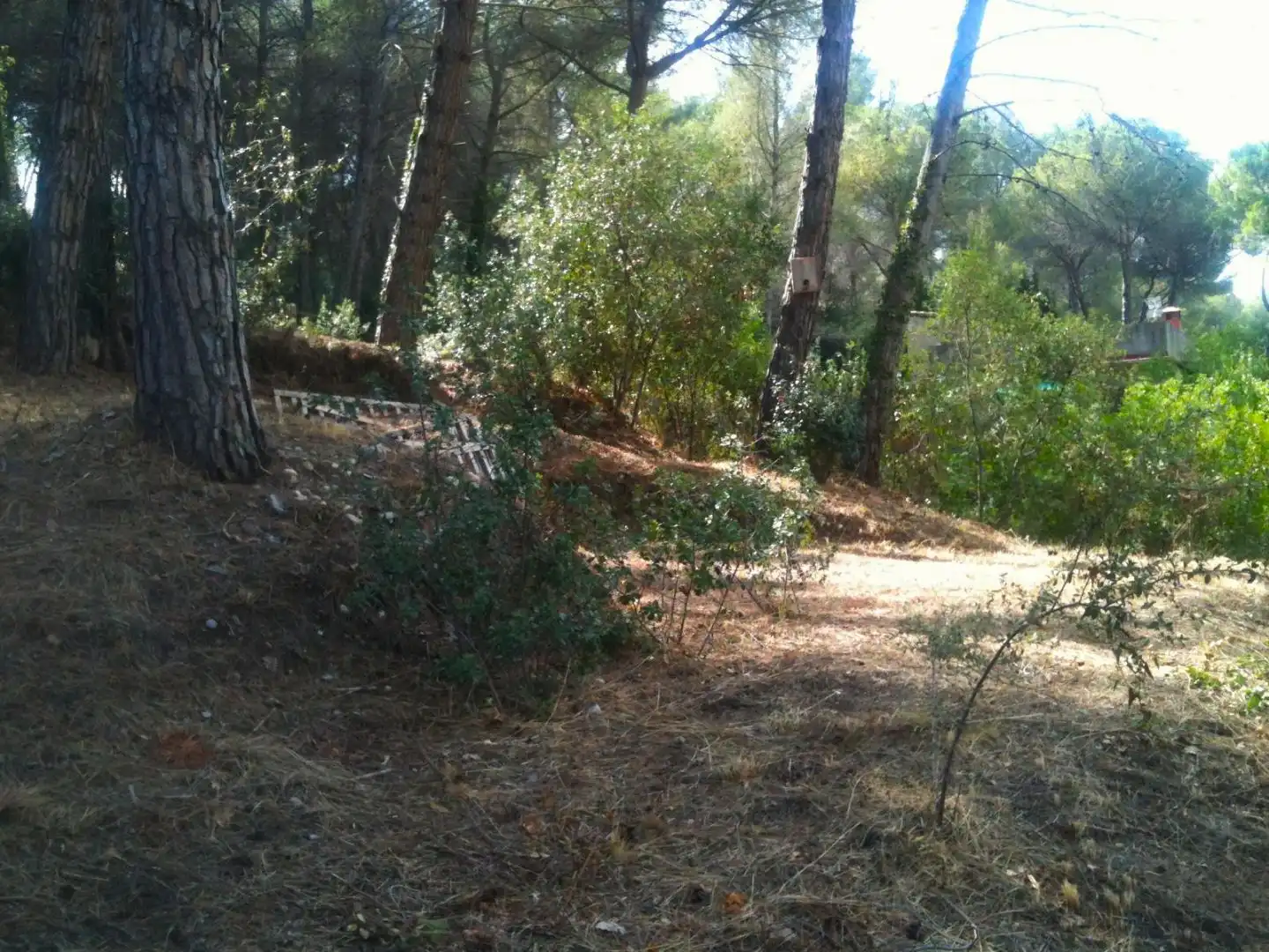 Terreno Residencial en  Passeig Walt Disney 23 - Foto 7