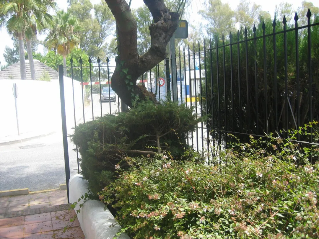 Piso en  Avenida de los Andaluces 40 - Foto 1