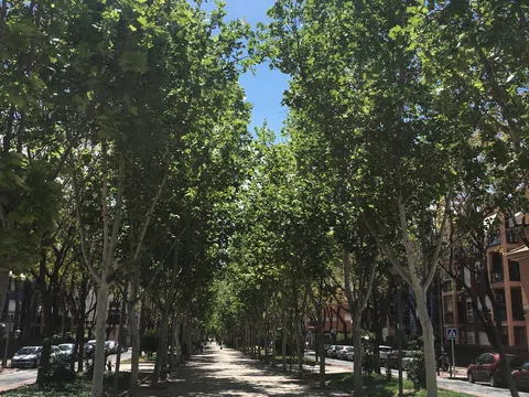 Piso en paseo Duques de Lugo, 26 - Foto 10