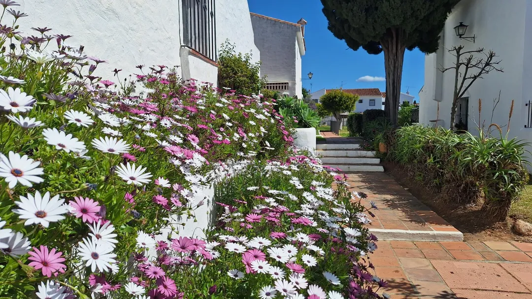 Casa adosada en  Calle Cristóbal Parra 1136 - Foto 2