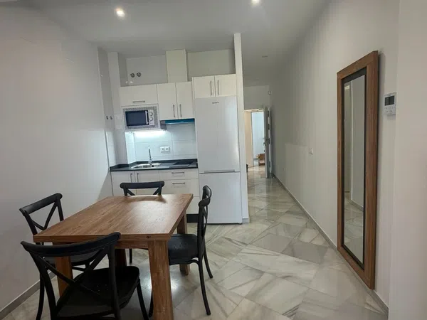 Estudio en Paseo de la Glorieta, 26, Molino de la Vega - Zafra, Molino de la Vega - Zafra - Foto 5