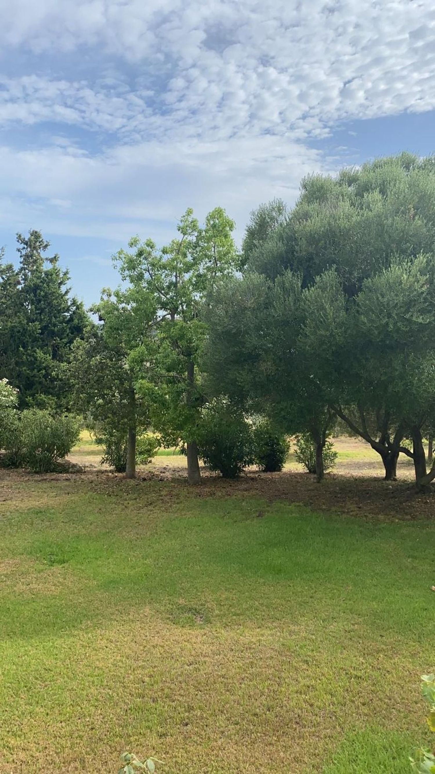 Casa rural en Poligono 2, 630 Parcela - Foto 32