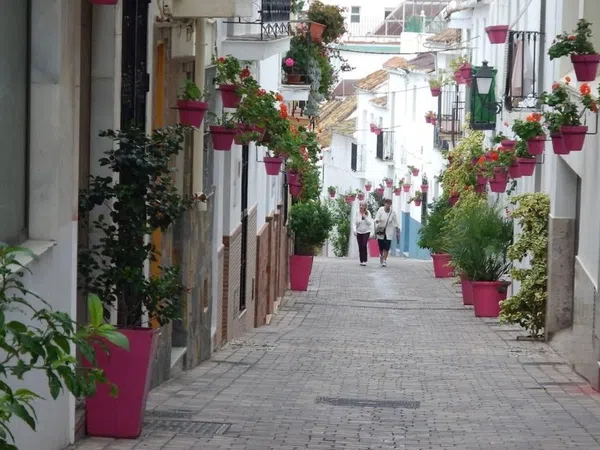 Estudio en Calle Costa del Sol, 9, Guadalobón - Foto 15