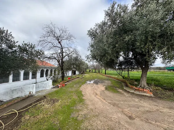 Finca rústica en Campo, 2 - Foto 6