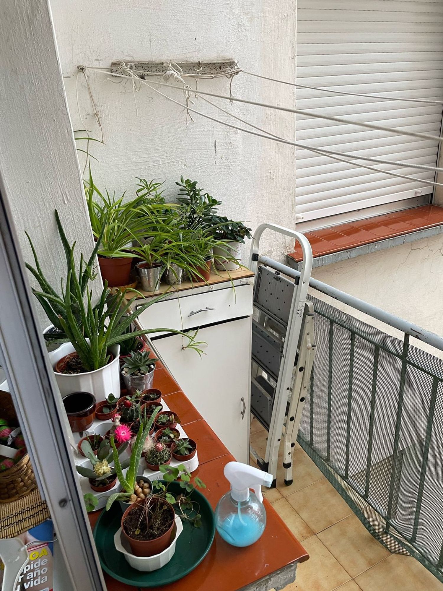 Piso en Calle Ingenieros Pino y Amorena, 1, Jesuitas - Foto 18