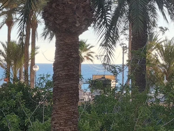 Piso en Avenida de la Costa Blanca, 146, Playa de San Juan - Foto 1
