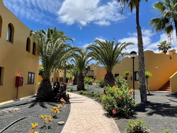 Estudio en Calle Pedro y Guy Vandaele, 19, Corralejo, La Oliva - Foto 17