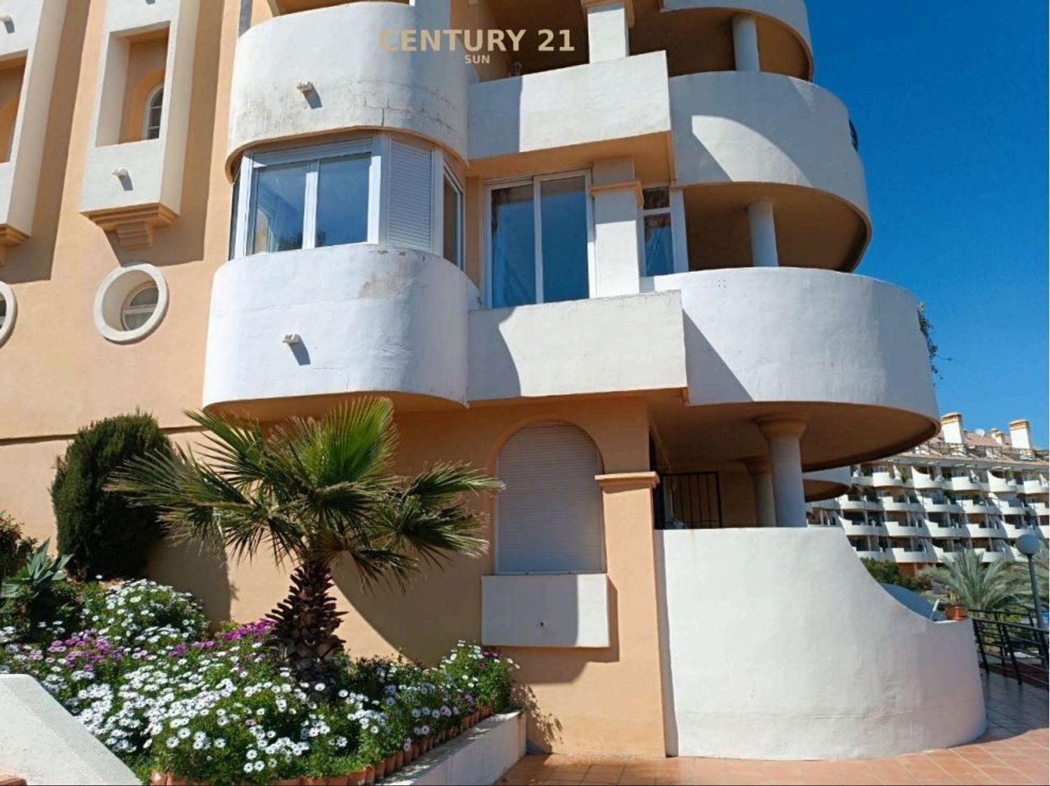 Dúplex en calle de las Adelfas s/n - Foto 15