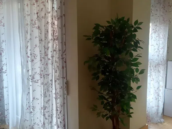 Piso en paseo de María Agustín, 62 - Foto 4