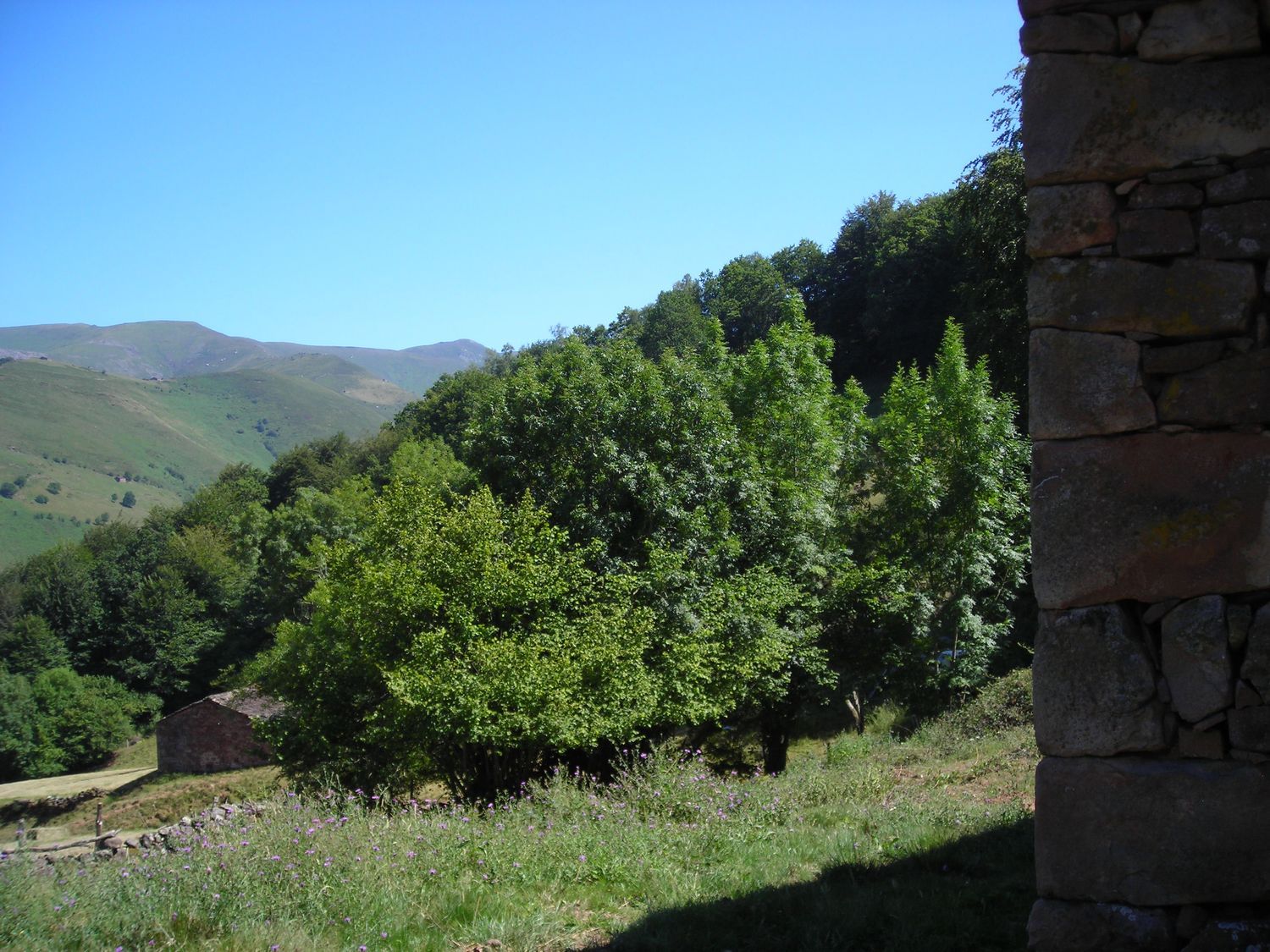 Casa rural en Barrio Viaña s/n s/n - Foto 16