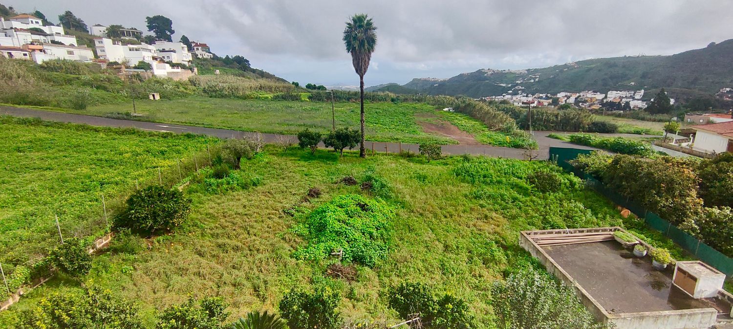 Casa independiente en avenida Monseñor Socorro Lantigua, 15 - Foto 24