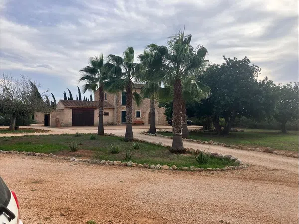 Finca rústica en Diseminado Son Xorc, 426 - Foto 39