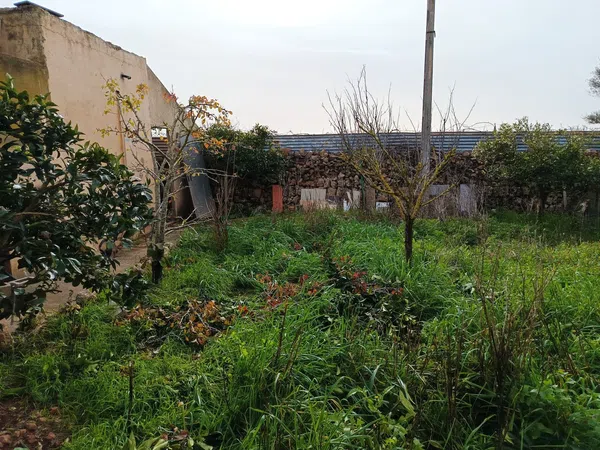 Finca rústica en camino Vell de Cala Pi, 1 - Foto 16