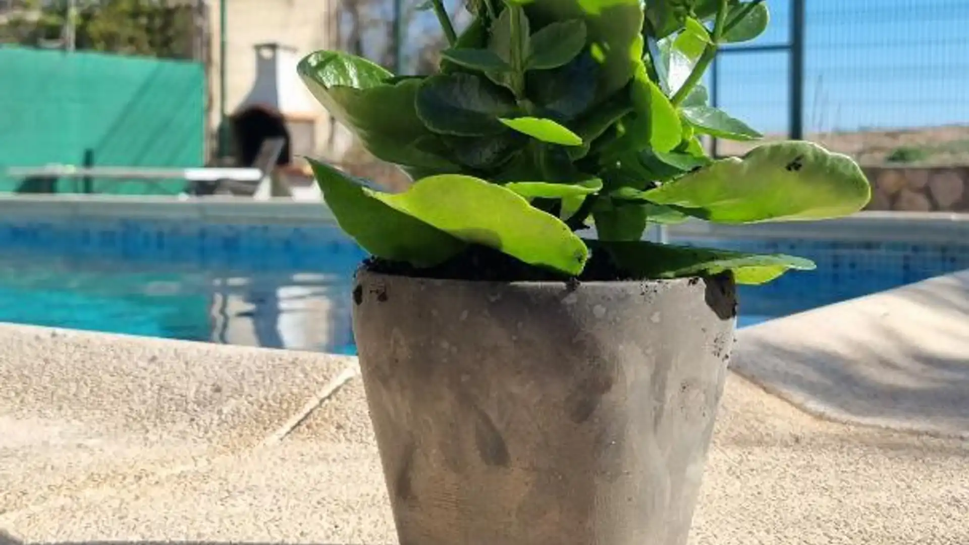 Chalet en  Entrada de Marina 258 - Foto 10