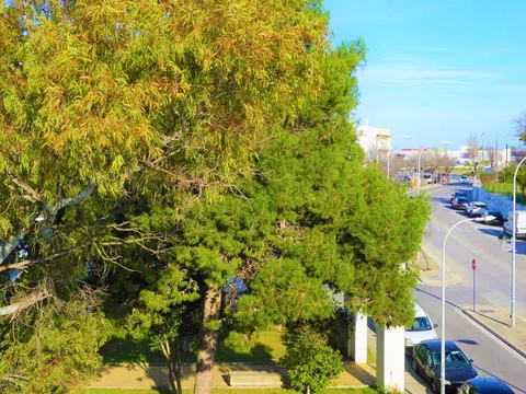 Estudio en calle Torre del Oro, 4 - Foto 21