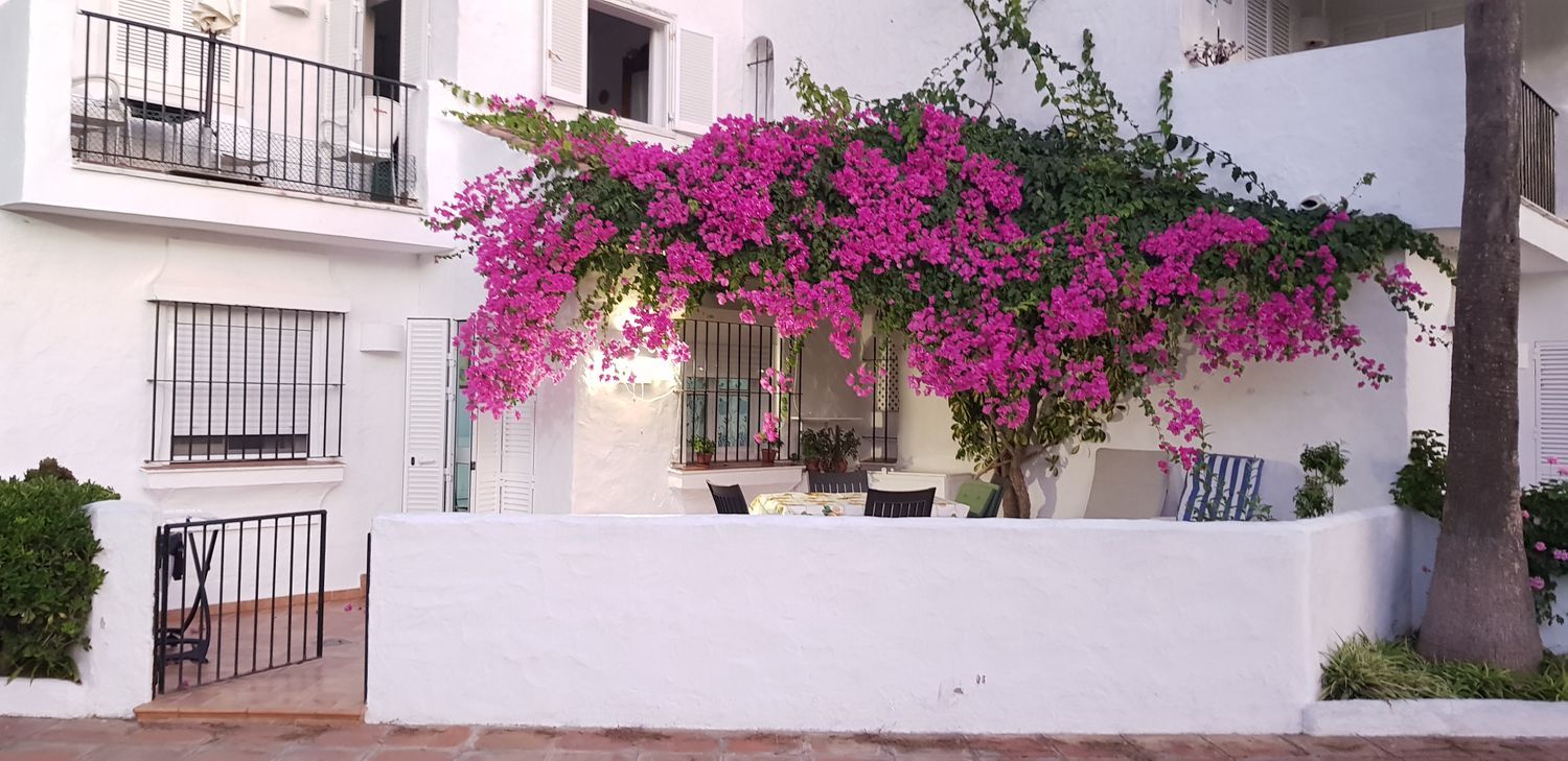 Piso en Calle el Bogavante, 11, La Barrosa, La Barrosa - Foto 6