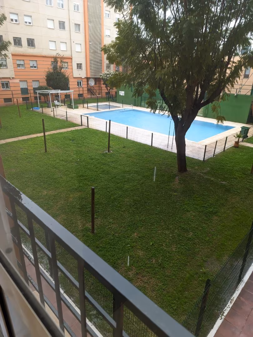 Piso en  Avenida de las Ciencias 37