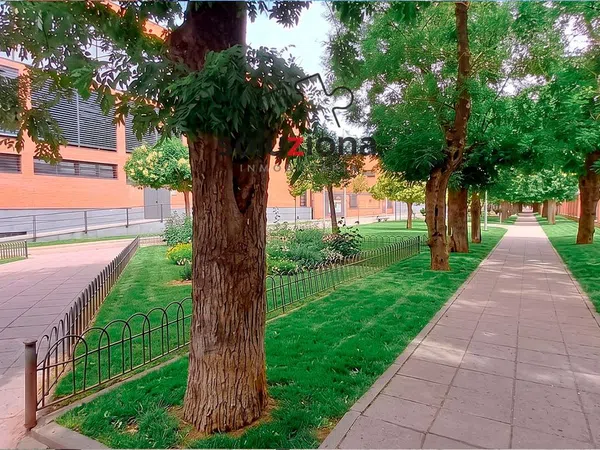 Piso en Calle Daoiz, Universidad, Universidad - Foto 4