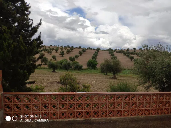 Finca rústica en camino de los Coches s/n - Foto 24
