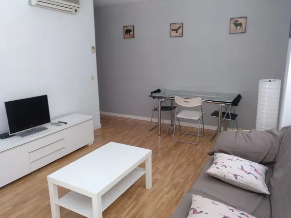 Piso en ronda del Ingenioso Hidalgo, 43