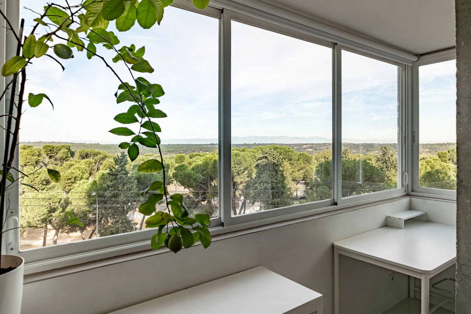 Estudio en calle de Villamanín, 44 - Foto 19