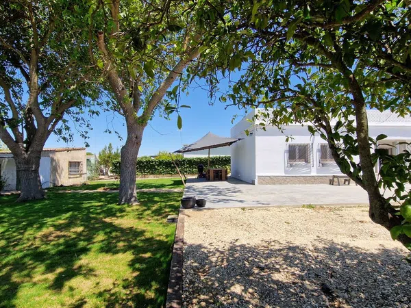 Finca rústica en carril el Clavijo, 39 - Foto 5