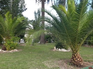 Piso en  Passeig Marítim de Sant Joan de Déu 185 - Foto 20