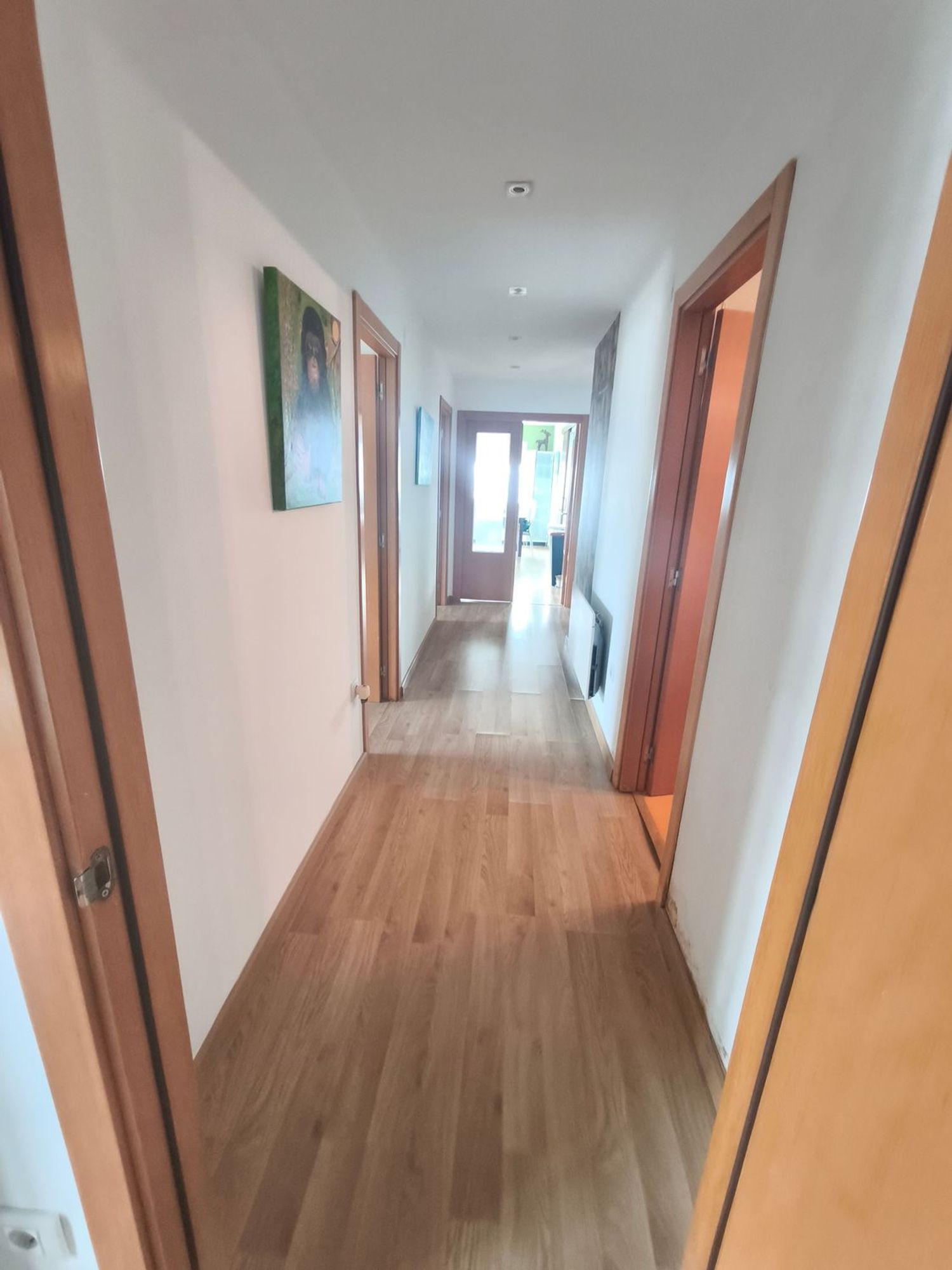 Piso en Paseo Reina Sofia, 16 - Foto 5