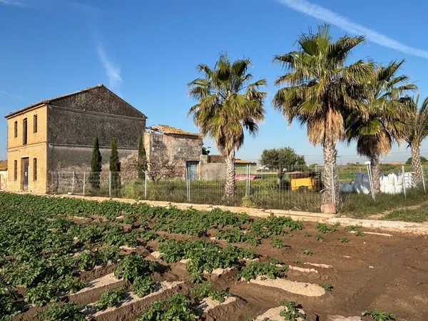 Finca rústica en Camino Masamarda, 41 - Foto 4