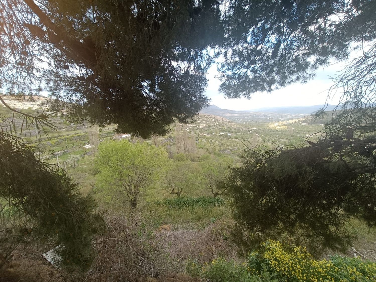 Cortijo en Al-9103, 7 km - Foto 11