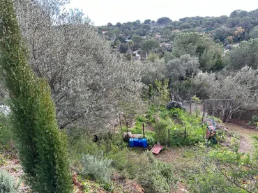 Finca rústica en  Camino Carrascoso Siete Fincas 180D - Foto 6