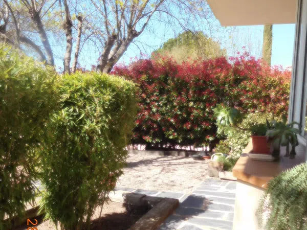 Casa o chalet independiente en Navalquejigo - Los Arroyos, Navalquejigo - Los Arroyos - Foto 4