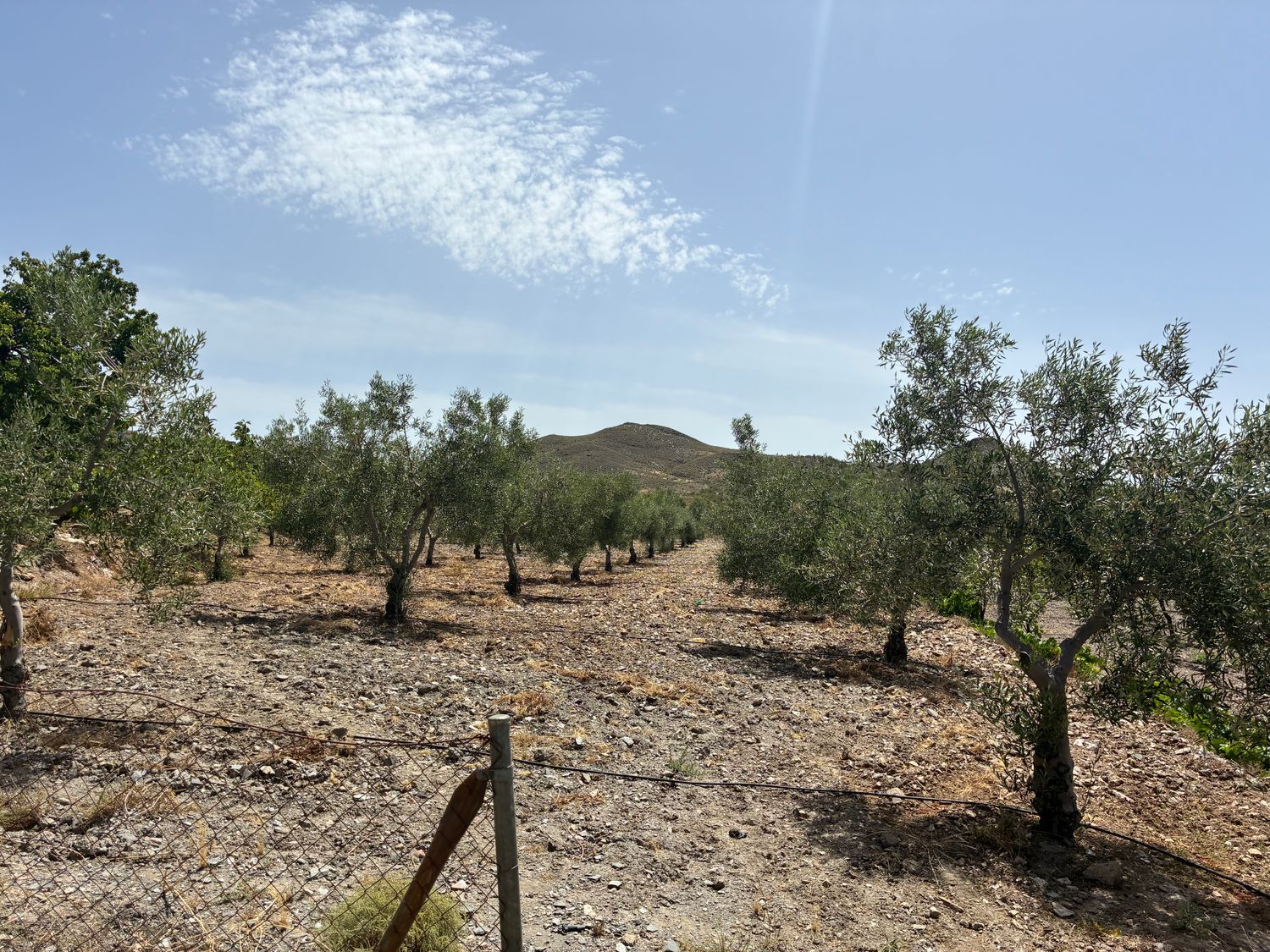 Cortijo en Cortijo en A-1178 s/n - Foto 15