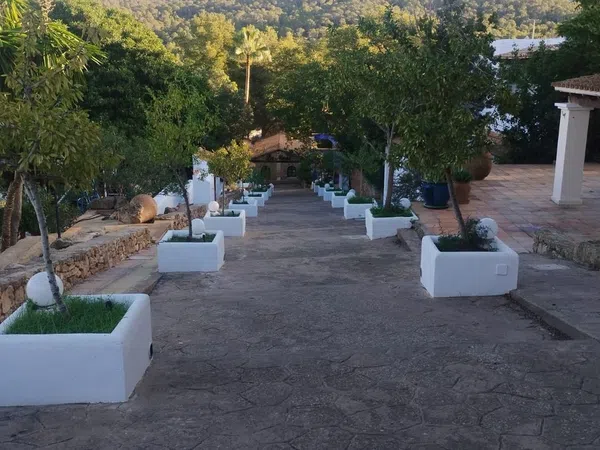 Estudio en Calle Calvià, 35, Cala Vedella - Cala Tarida - Cala Conta, Cala Vedella - Cala Tarida - Cala Conta - Foto 18