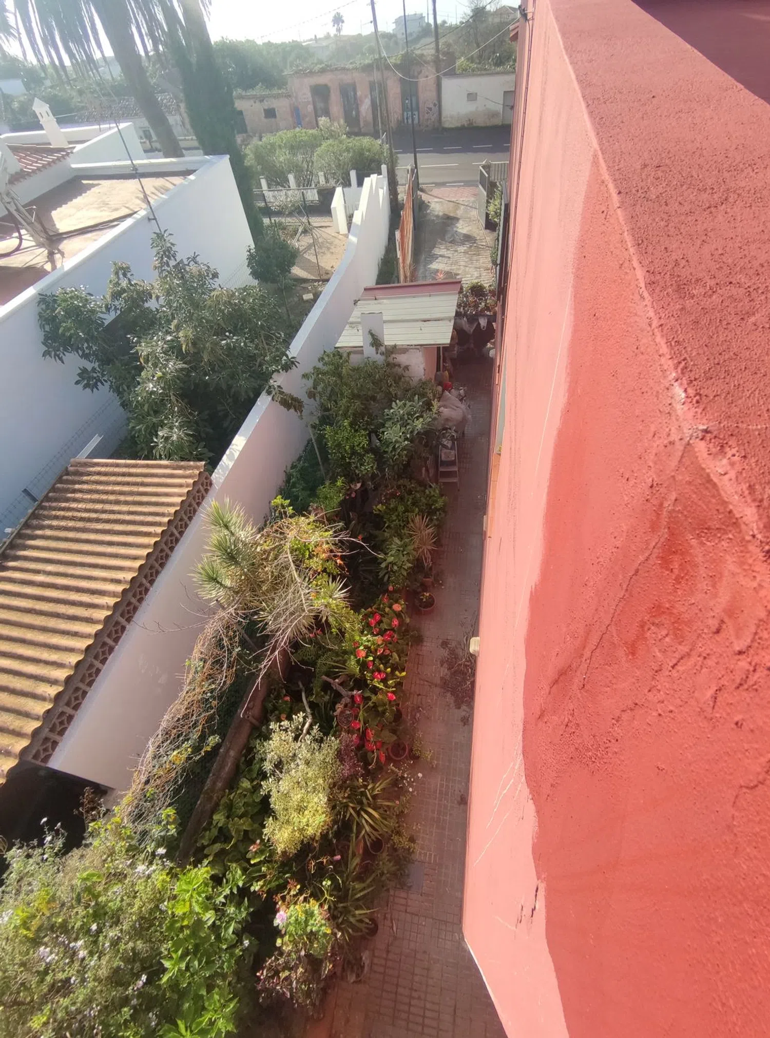 Casa independiente en carretera Tacoronte Tejina, 114 - Foto 7