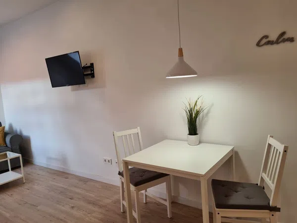 Estudio en Calle del Duque de Alba, 3, Lavapiés-Embajadores, Madrid - Foto 9
