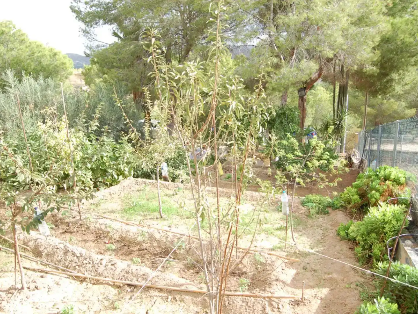 Chalet en  Urbanización la Pinada 37 - Foto 42