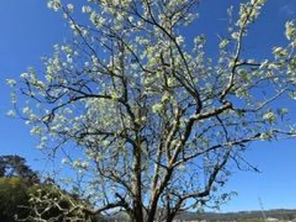Finca rústica en Feitoxo, 1 - Foto 4