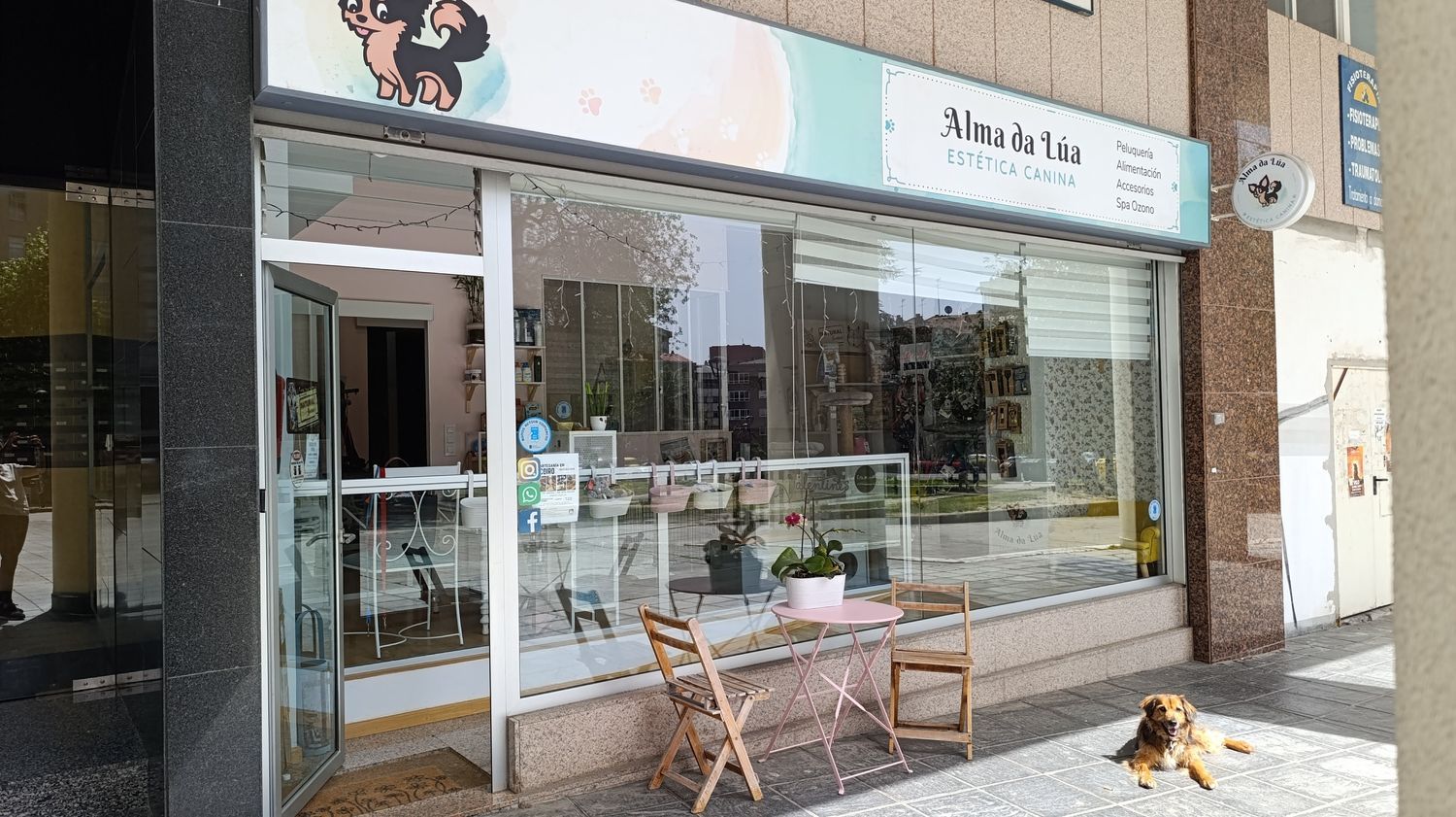 Local en Peluquería en Avenida Alcalde Gregorio Espino, 48, Casablanca - Calvario - Foto 15