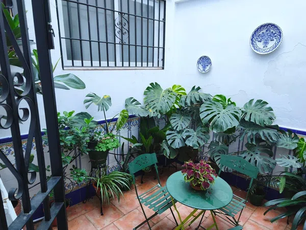 Piso en Calle Hermanos López Diéguez, 12 - Foto 10