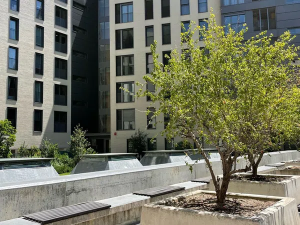 Piso en Plaza Alcalde Moreno Torres, 1, Sanchinarro - Foto 5