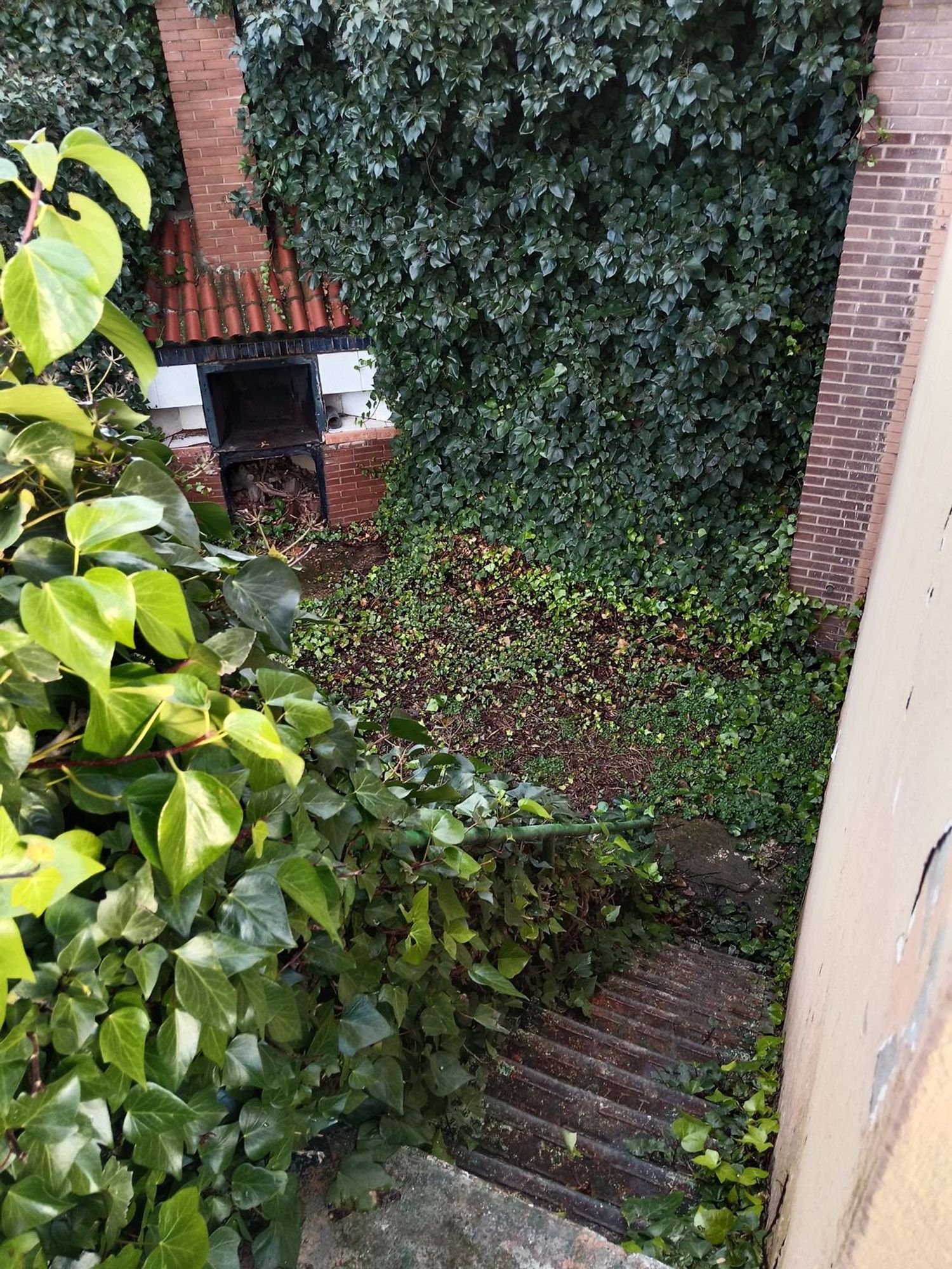 Finca rústica en camino Fuente la Junquera s/n - Foto 19